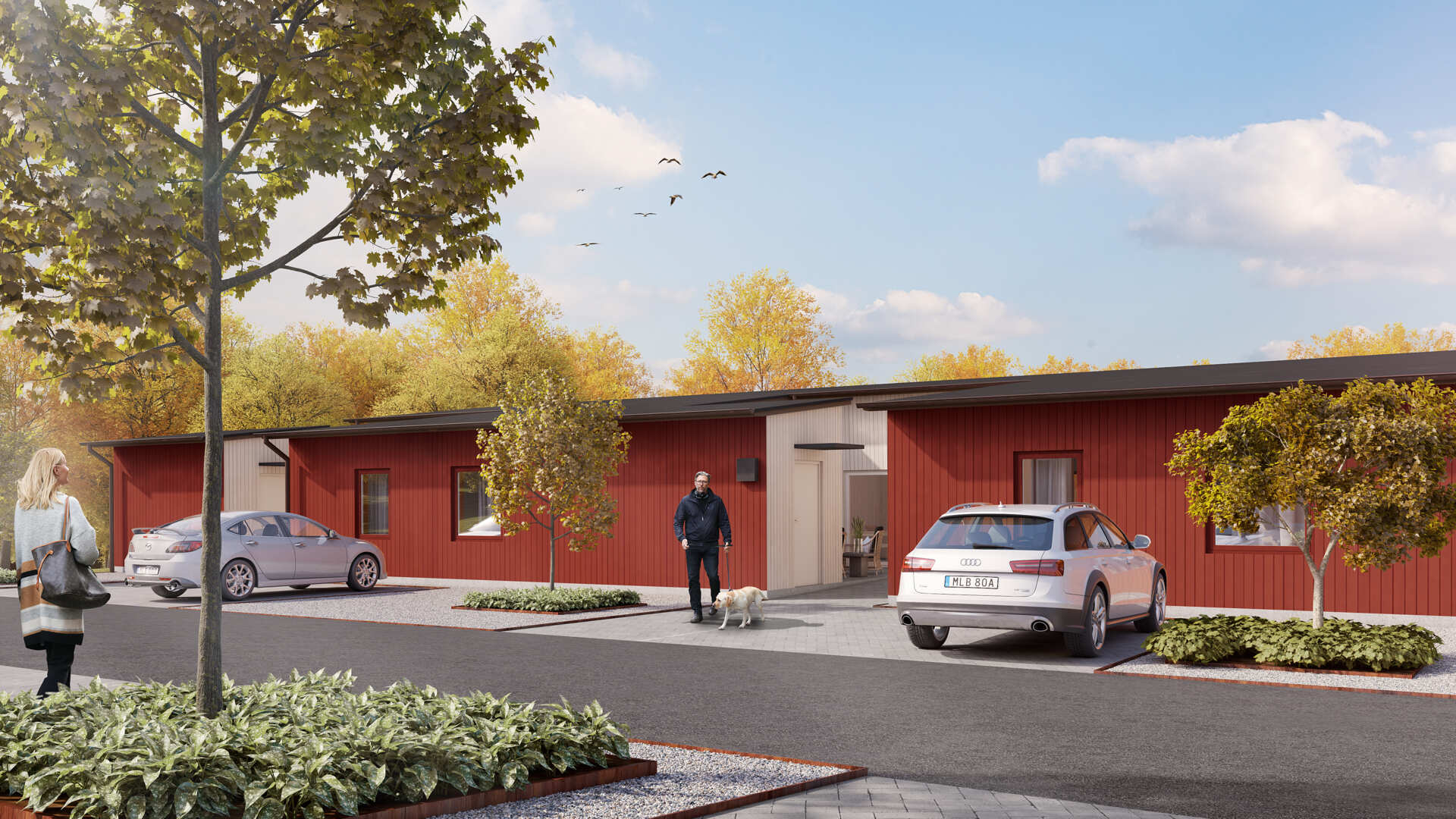 Rött enplanshus i Brf Honungslunden med bilar parkerade framför, en person går med hund och träd i förgrunden