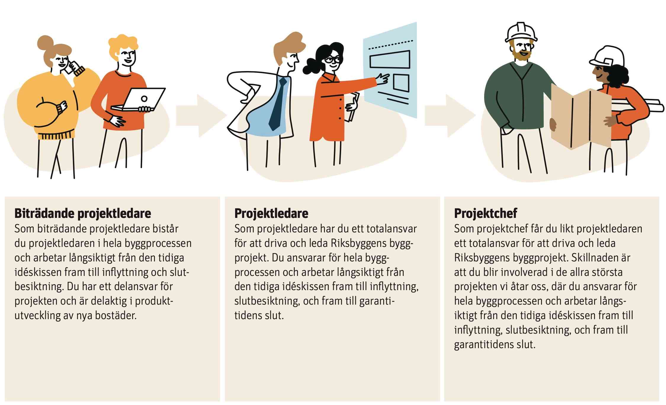 Illustration av byggprocessen med tre yrkesroller: biträdande projektledare, projektledare och projektchef, inkluderar textbeskrivningar av deras ansvarsområden inom Riksbyggens byggprojekt